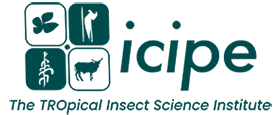icipe logo monochrome 280x115